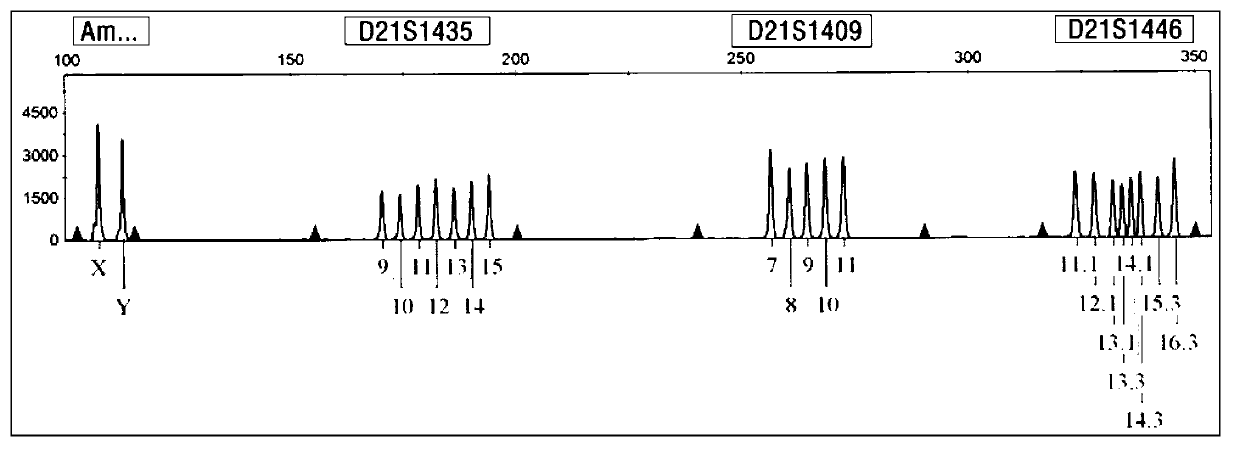 Kit for detecting genotype of human chromosome 21 STR (short tandem repeat)