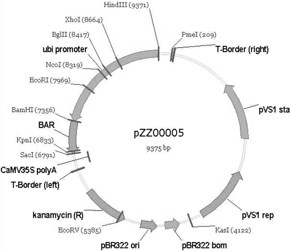 Method for regulating content of starch in corn kernel based on ZmMIKC2a gene