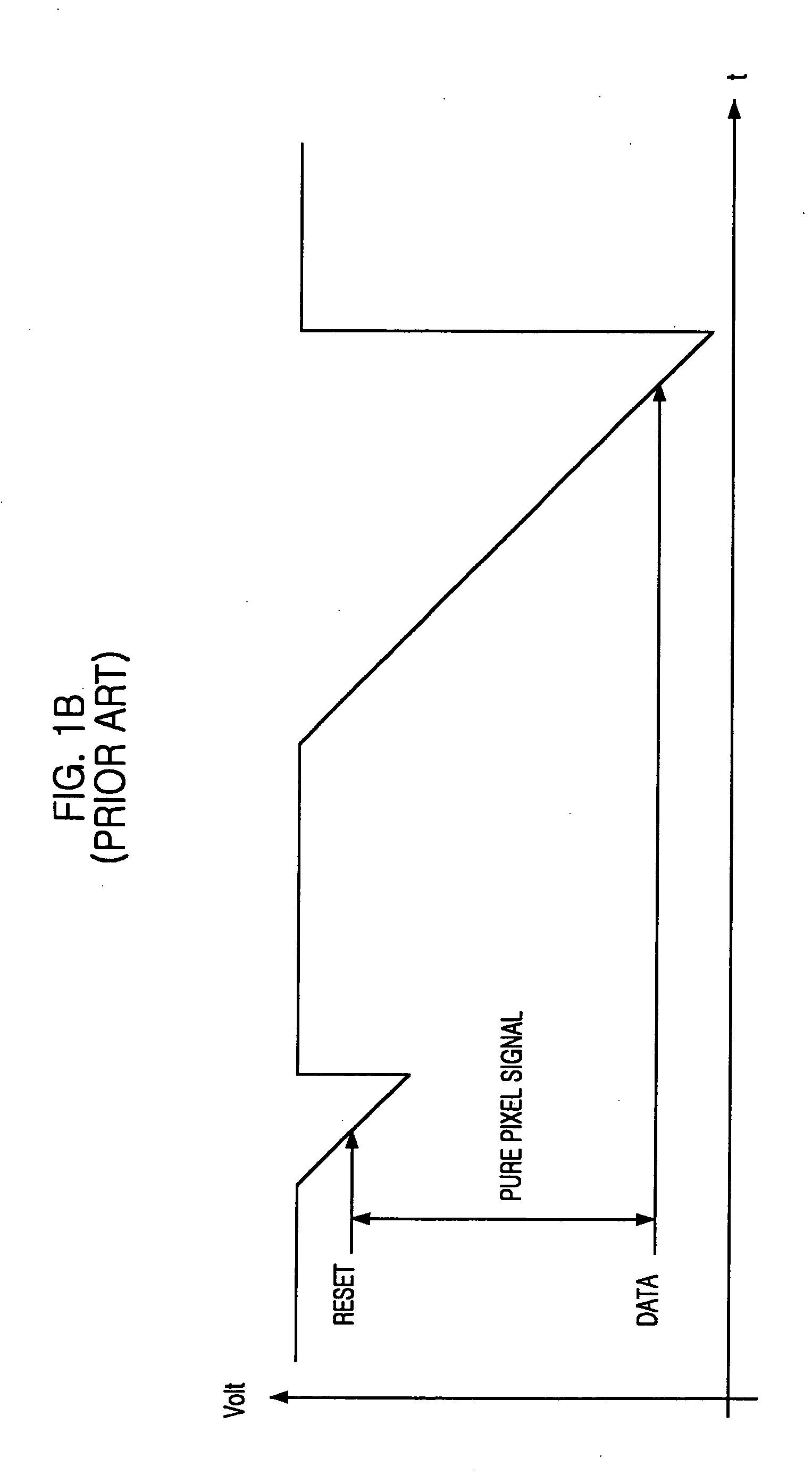 Image sensor having clamp circuit