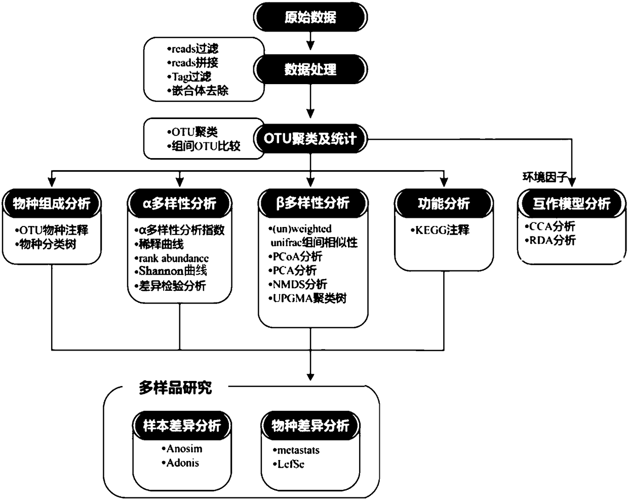 Microbial omics online analysis platform framework based on genomics and bioinformatics