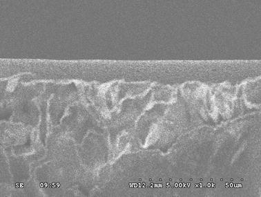 Method for preparing hydrophilic macromolecule microporous composite membrane