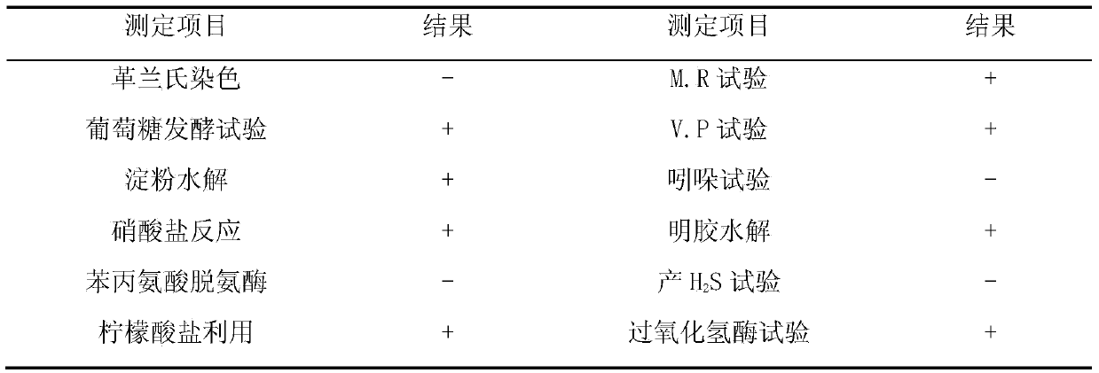 Diethylstilbestrol degradation strain and application thereof in sewage and animal manure treatment