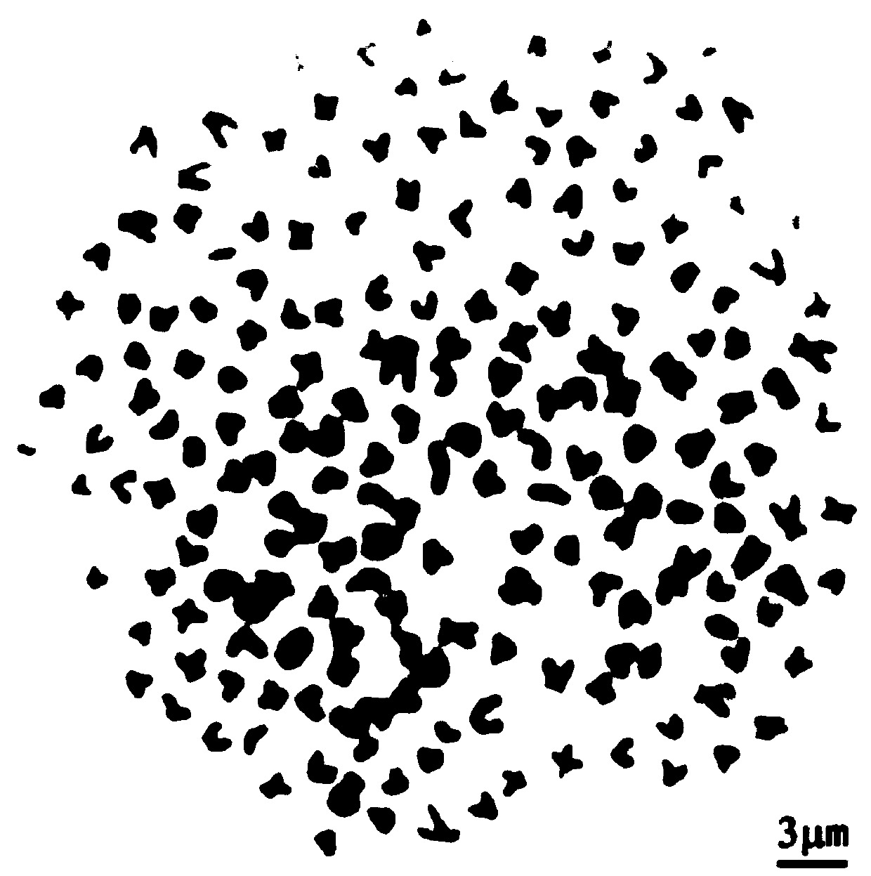 Method for breeding tetraploid golden crown fish through distant hybridization, method for establishing tetraploid golden crown fish lines and application of tetraploid golden crown fish