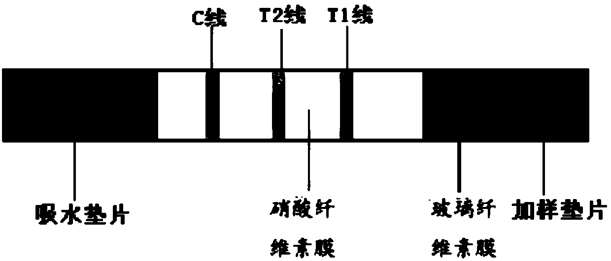 Beta-human chorionic gonadotrophin near-infrared fluorescence detection reagent card, kit and purpose thereof