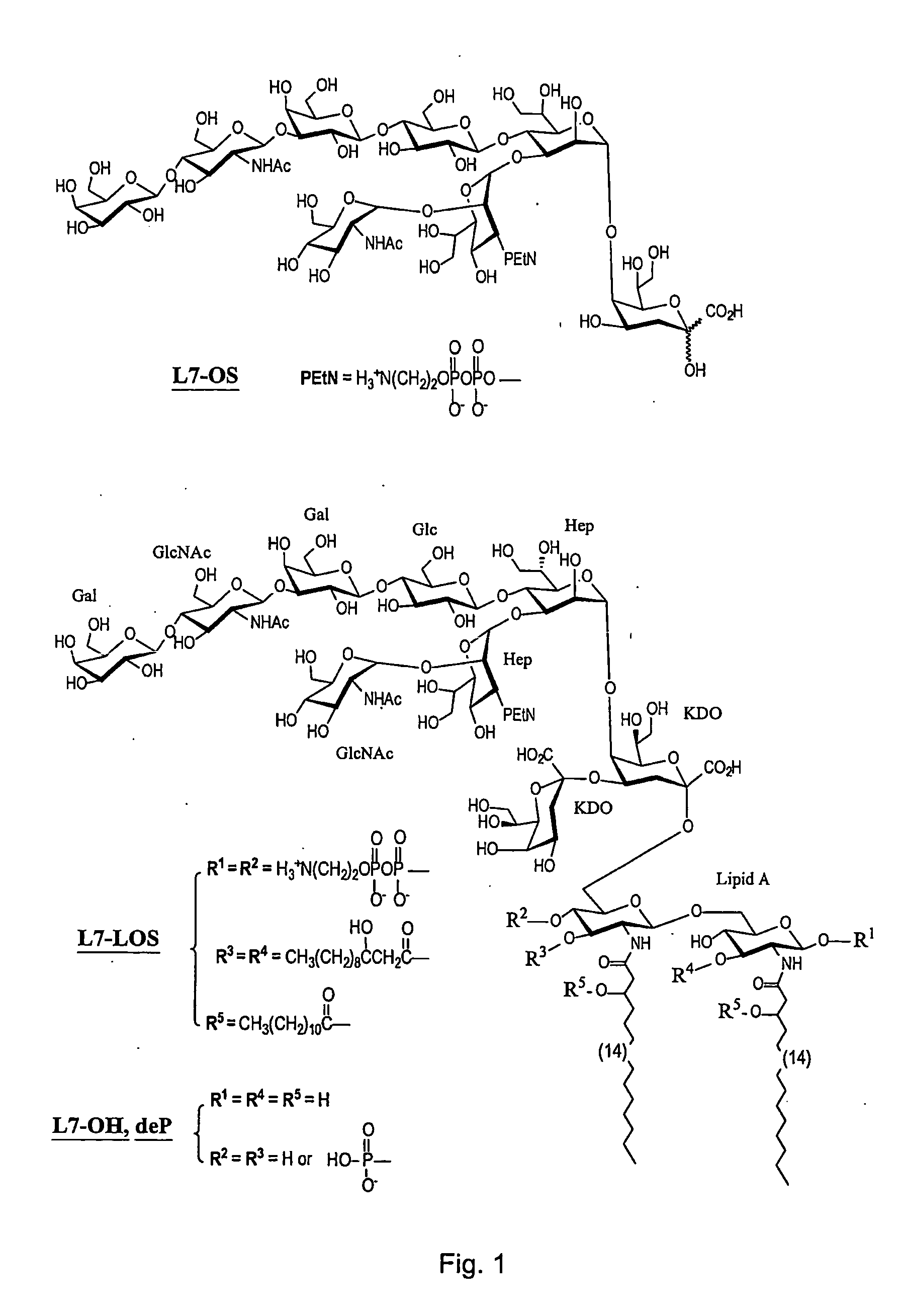 Synthesis of lipopolysaccharide-protein conjugate vaccines via the lipid a region following removal of the glycosidic phosphate residue