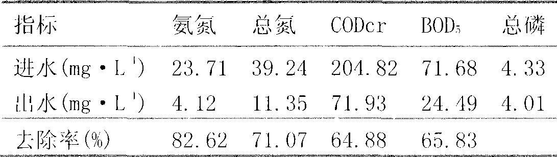 Composite technique treatment method of sewage