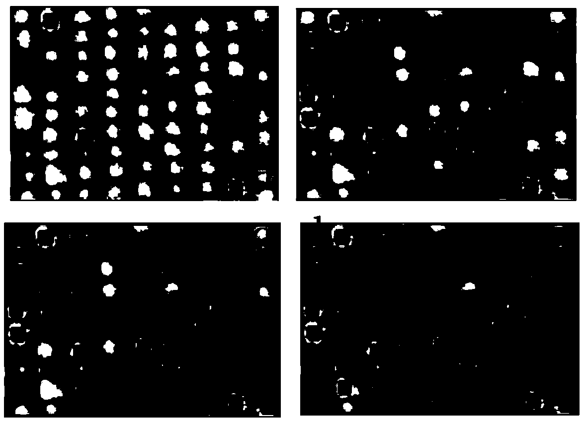 An iterative h-minima improved watershed extraction method for an unmanned aerial vehicle high-resolution image single tree crown