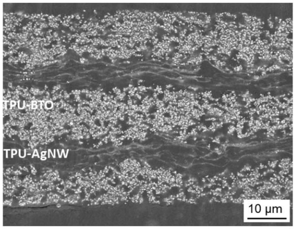 High-dielectric elastic composite material as well as preparation method and application thereof