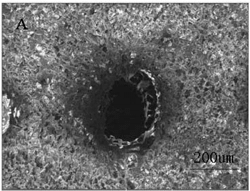 Dual-phase magnetic nano-composite scaffold material and preparation method thereof