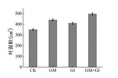 Novel method for efficiently planting cold-season type grasses in early spring