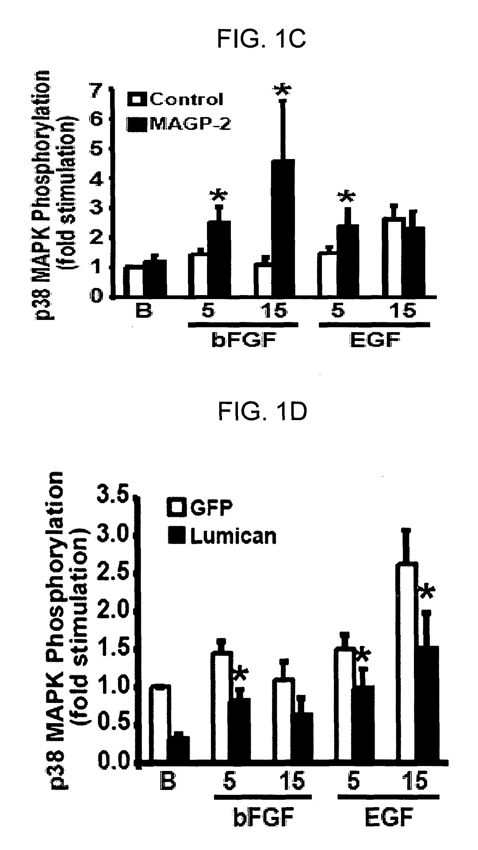 Genes and proteins associated with angiogenesis and uses thereof