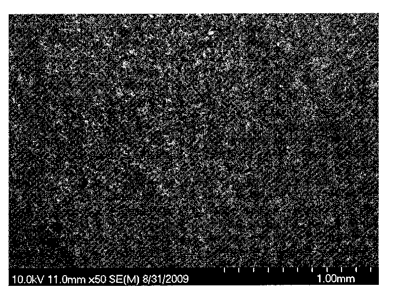 Preparation method of bismaleimide block polymer containing carbon nanotubes