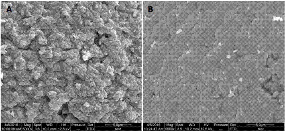 Preparation method of composite biobased supported biodiesel catalyst