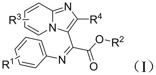 A 3-iminoimidazo[1,2-a]pyridine compound