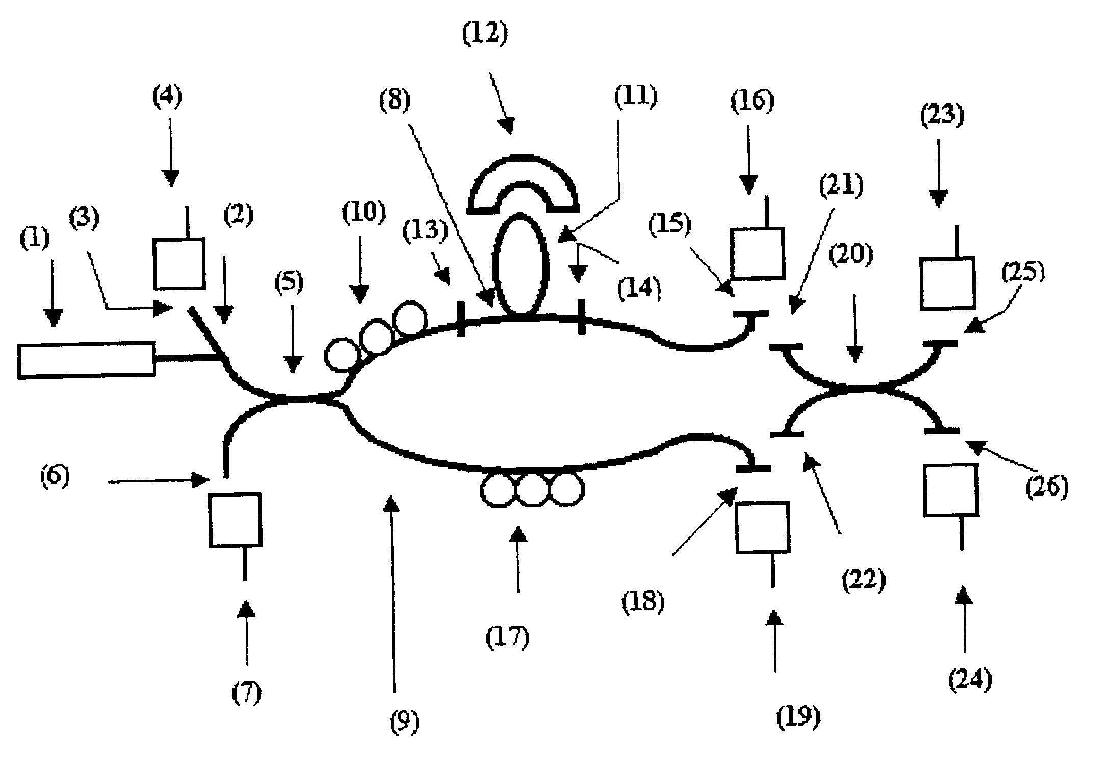 Method and device for the detection of microorganisms by fiber optics