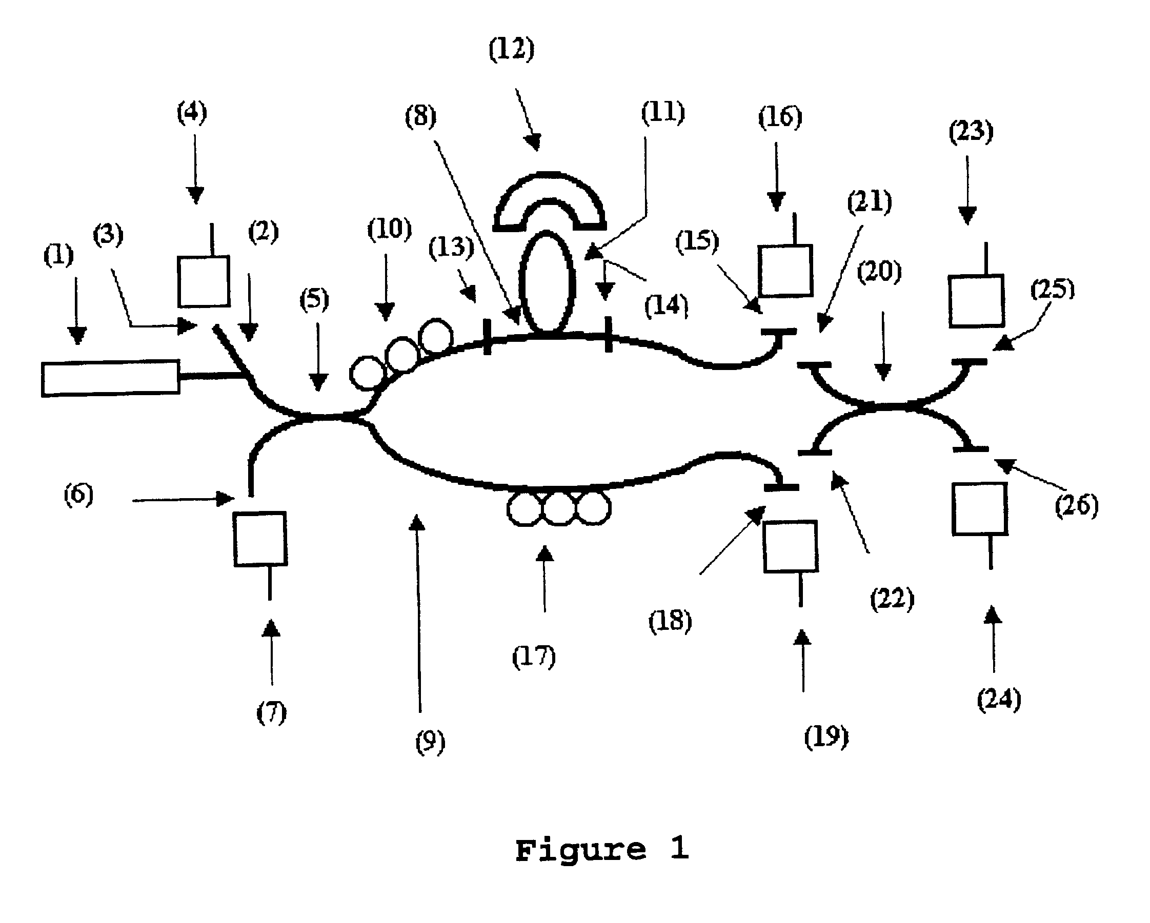 Method and device for the detection of microorganisms by fiber optics