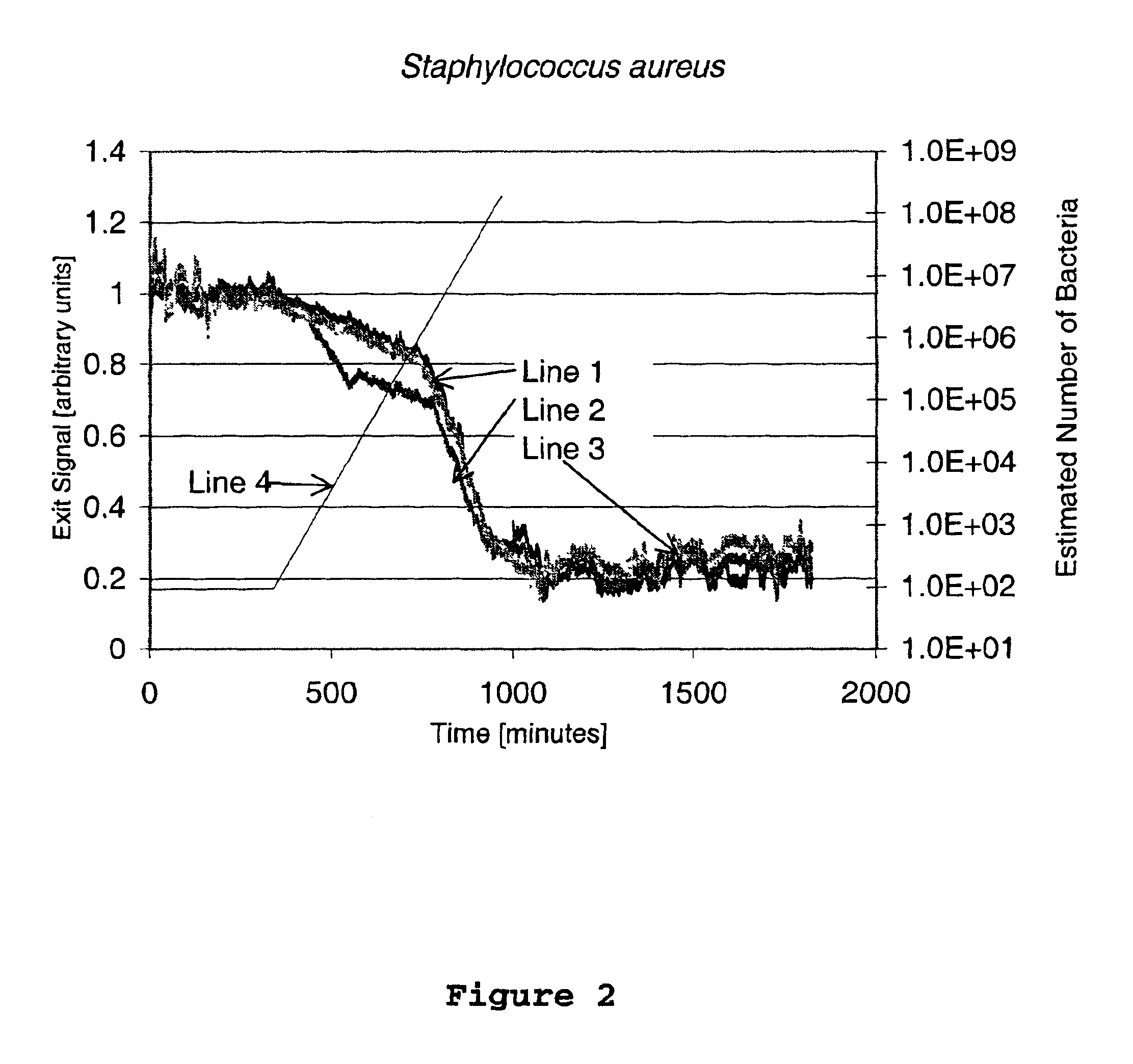 Method and device for the detection of microorganisms by fiber optics