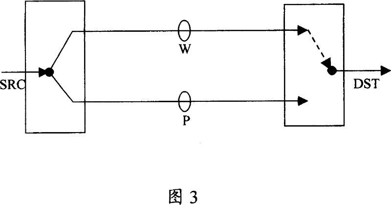 Method and apparatus for realizing network self-healing protection