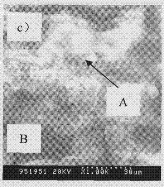 Magnesium-lithium alloy molybdate and phosphate conversion solution and method for forming conversion coating