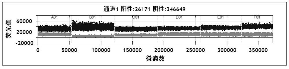 Primer probe for detecting amplification of recurrence and metastasis gene FZD2 of neuroblastoma, and application of primer probe