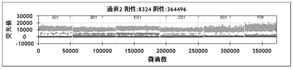 Primer probe for detecting amplification of recurrence and metastasis gene FZD2 of neuroblastoma, and application of primer probe