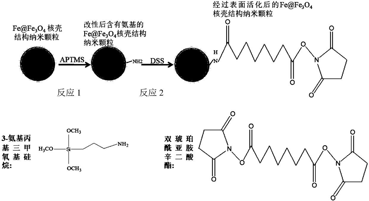 Composite nano-drug constructed by nanoparticles coupled with pharmaceutical ingredients as well as preparation method and application of composite nano-drug