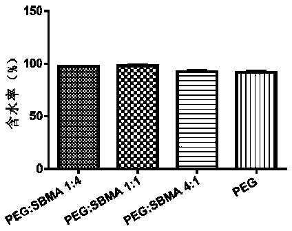 Composite hydrogel and preparation method thereof