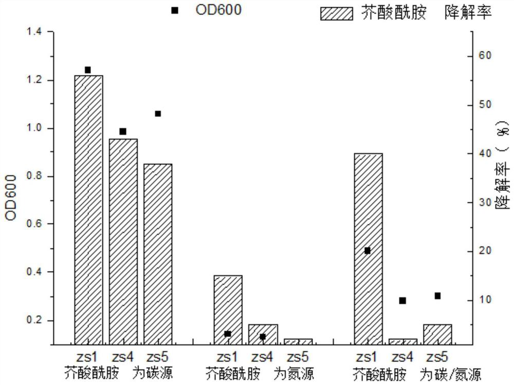 Arthrobacter capable of degrading erucyl amide as well as acquisition method, culture method and application of arthrobacter