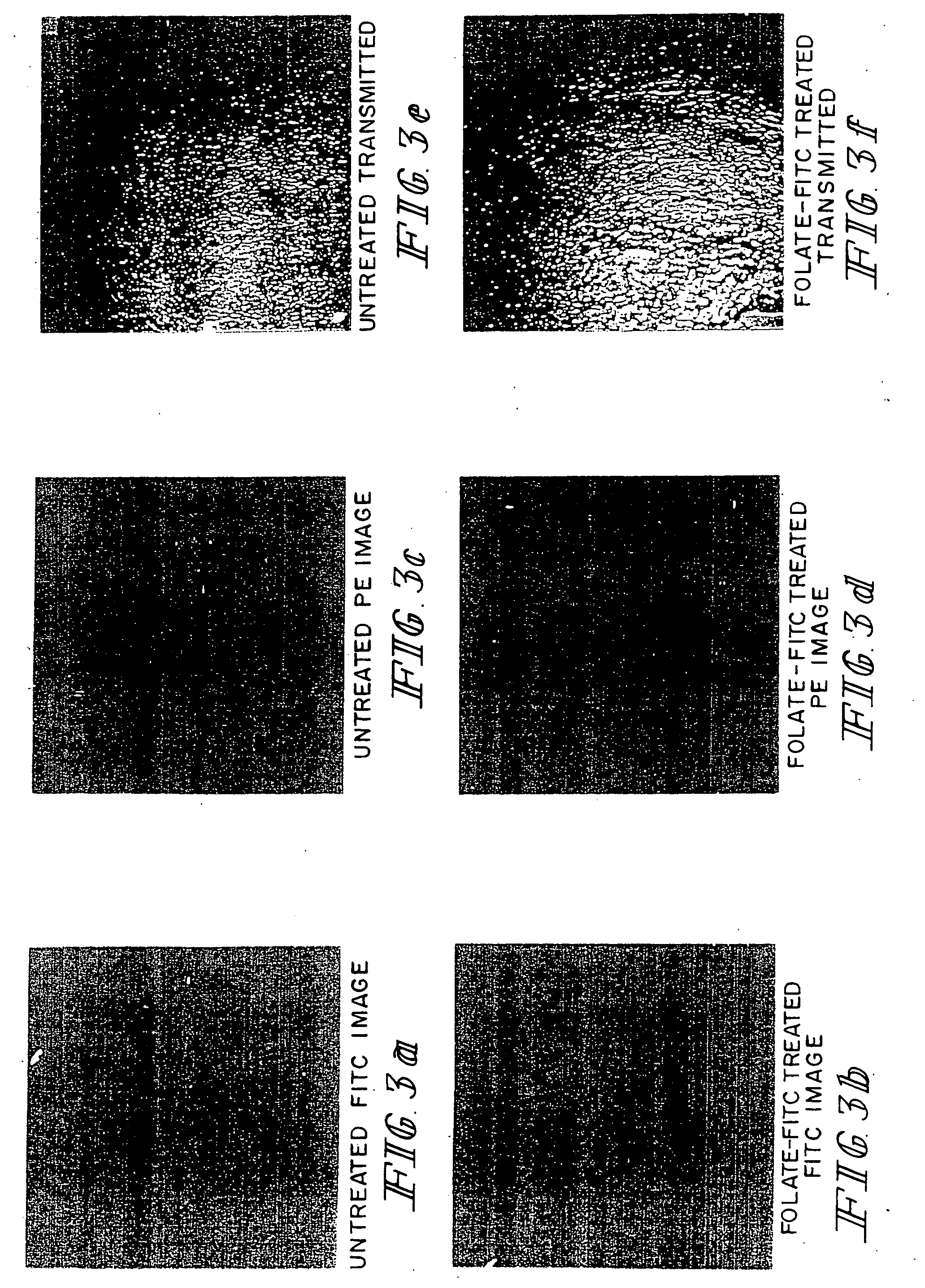 Method of treatment using ligand-immunogen conjugates