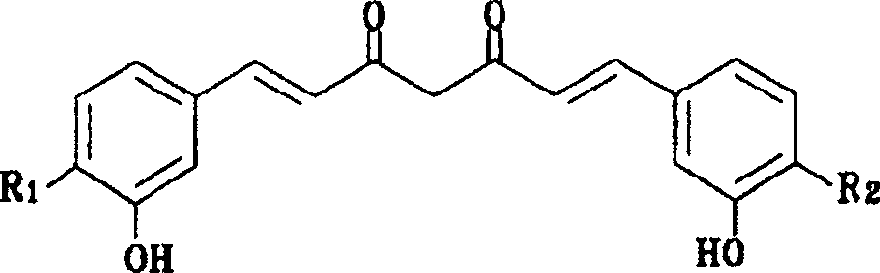 Curcumin emulsion and its preparation process