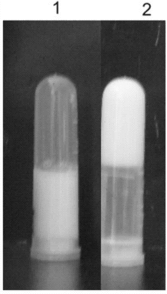 Recombinant chymosin of abomasum of yak and preparation method thereof