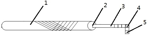 Intraocular ruler