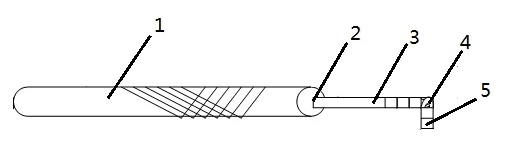 Intraocular ruler