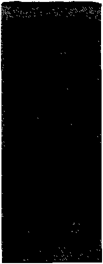 Protein chip kit and method for detecting transgenic crops