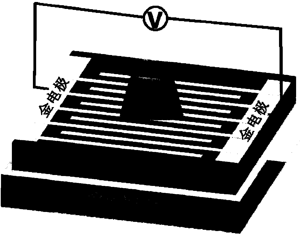 CsPbBr3 fully-inorganic perovskite nano wire based visible light photoelectric detector and preparation method thereof