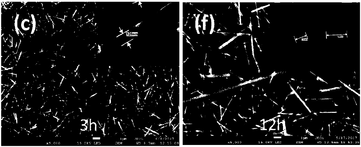 CsPbBr3 fully-inorganic perovskite nano wire based visible light photoelectric detector and preparation method thereof