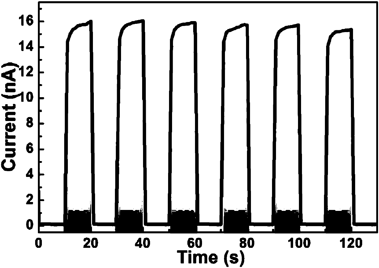 CsPbBr3 fully-inorganic perovskite nano wire based visible light photoelectric detector and preparation method thereof