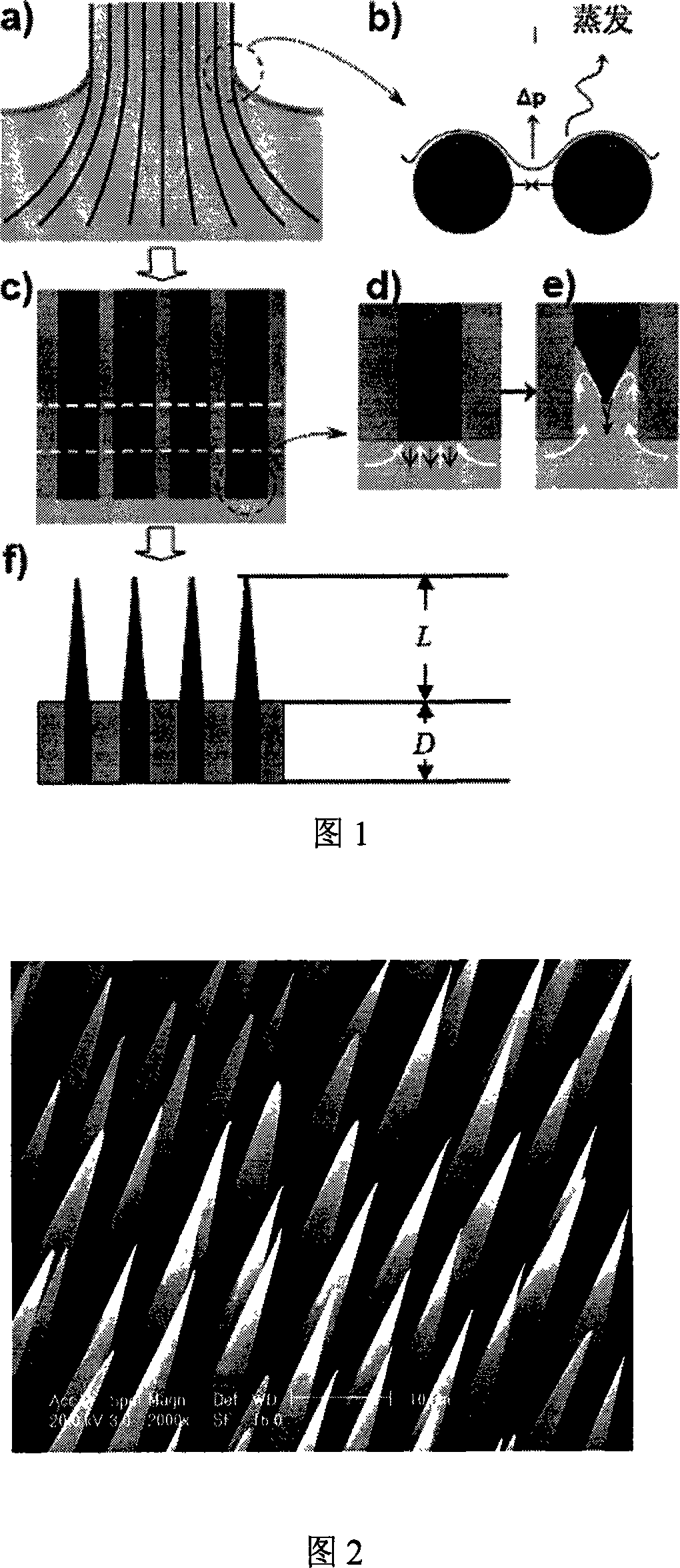 Method for preparing micrometer and submicron probe arrays