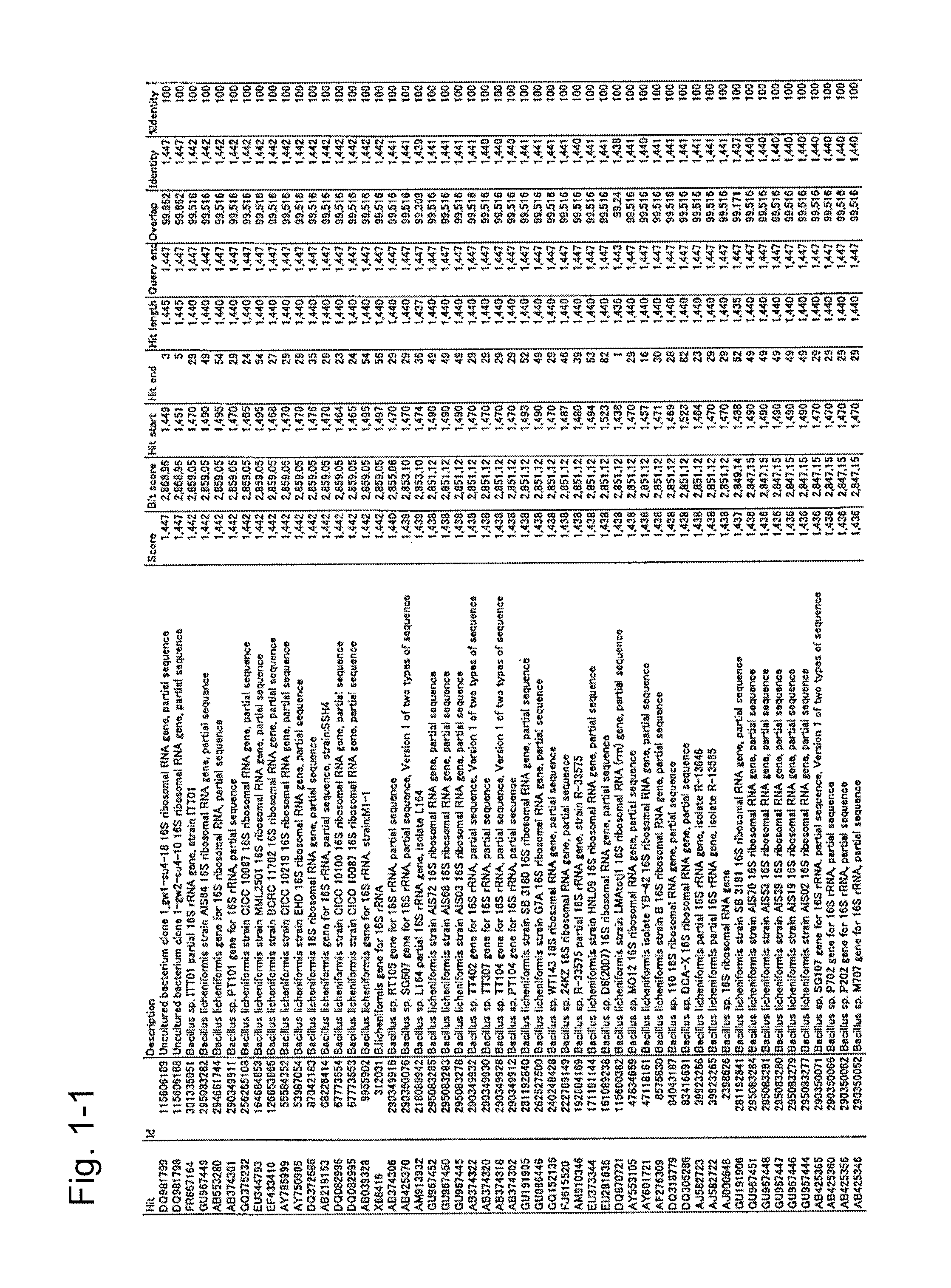 Microorganism and deodorizer containing the same