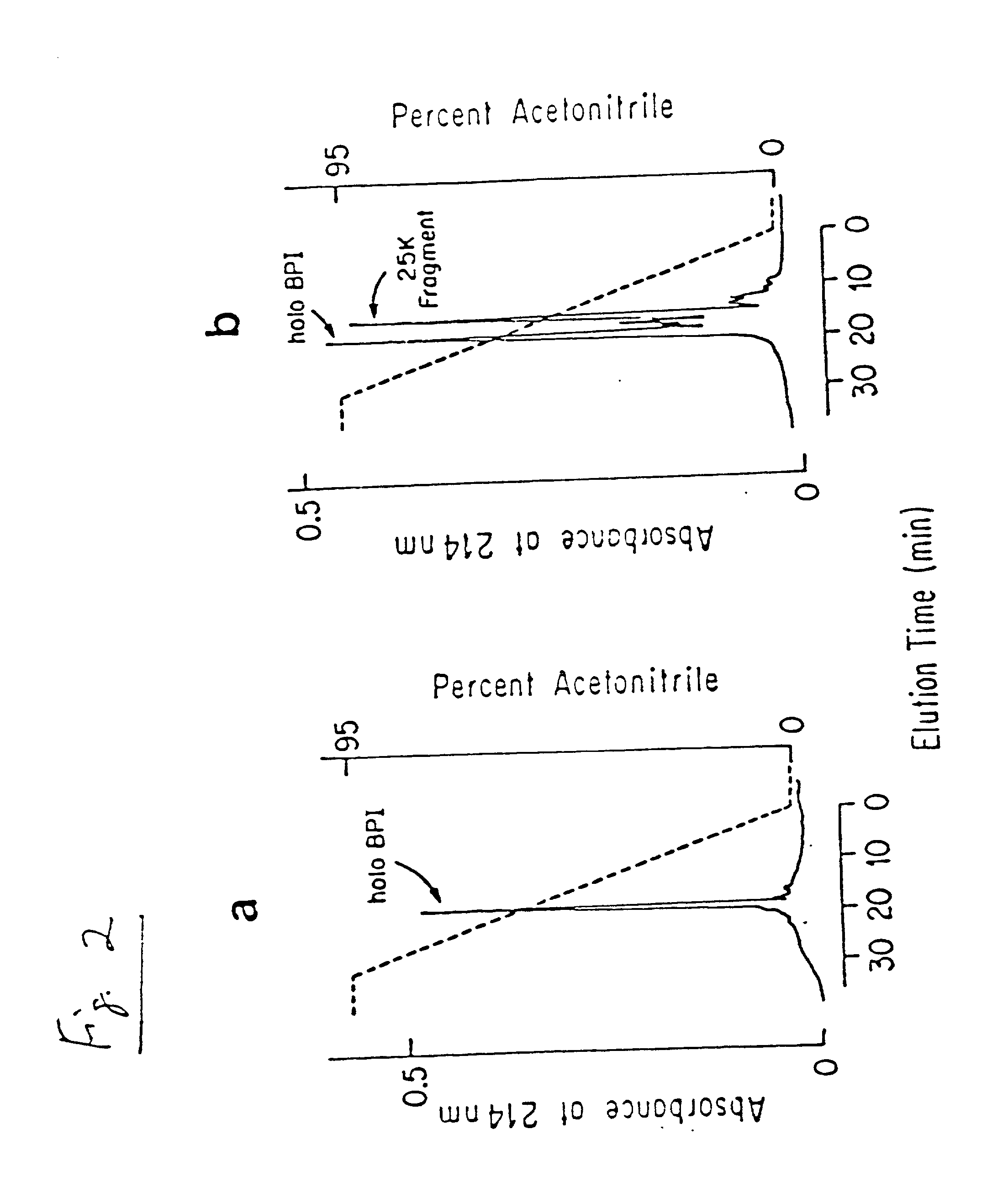 Biologically active bactericidal/permeability-increasing protein fragments