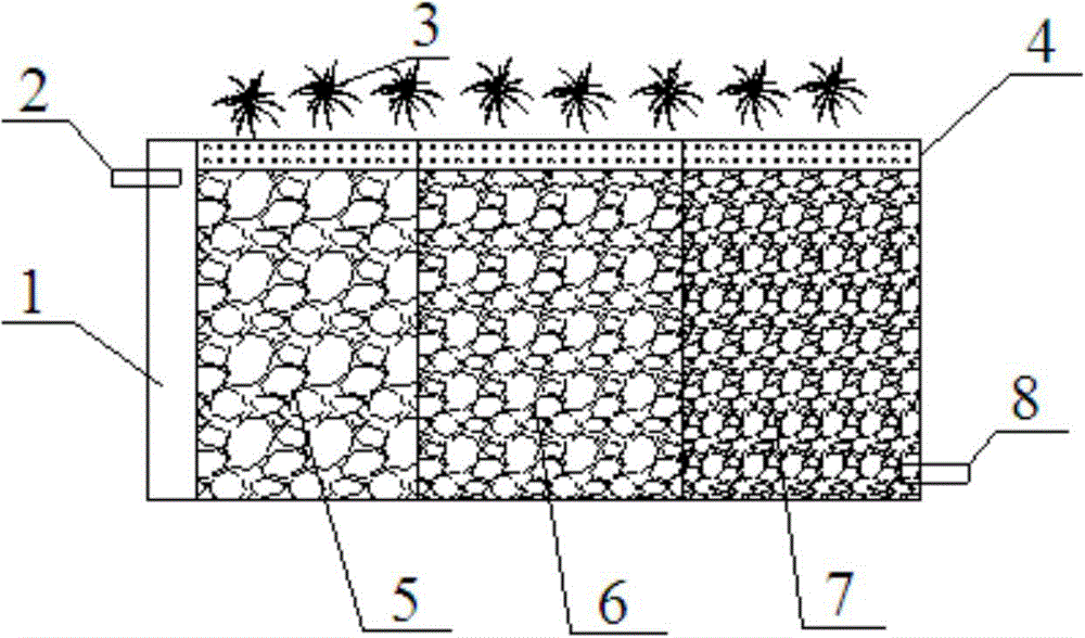 Subsurface wetland with effluent N/P suitable for culturing non-toxic green alga