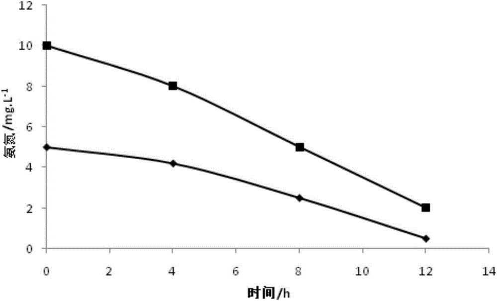 Subsurface wetland with effluent N/P suitable for culturing non-toxic green alga