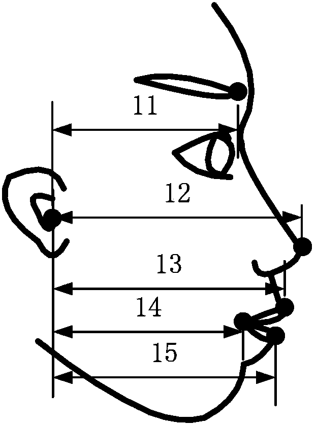 Voice-vision fusion emotion recognition method based on hint nerve networks