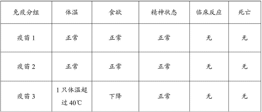 Porcine reproductive and respiratory syndrome, swine mycoplasmal pneumonia combined live vaccine and preparation method thereof