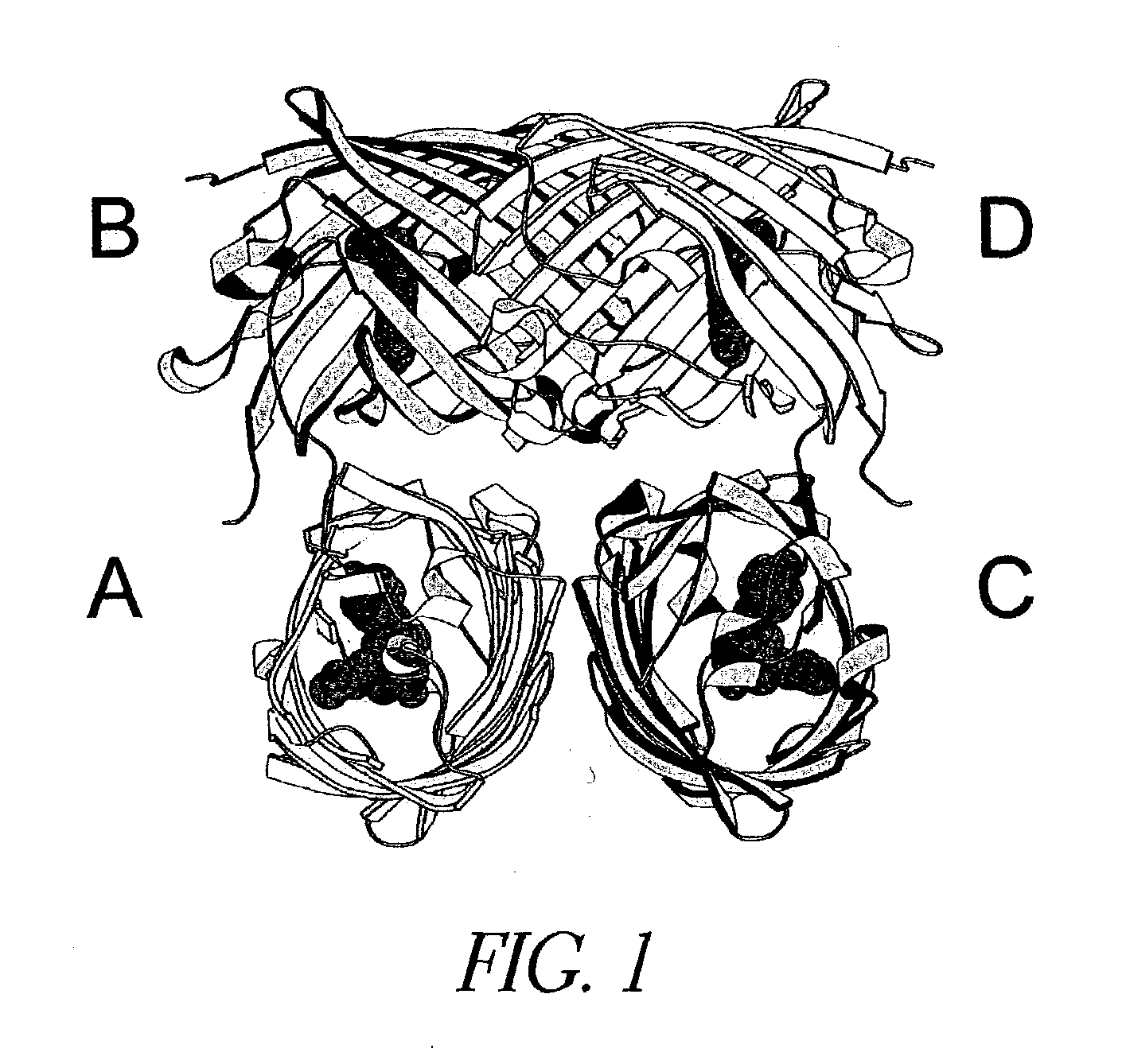 Fluorescent protein variants and methods for making same