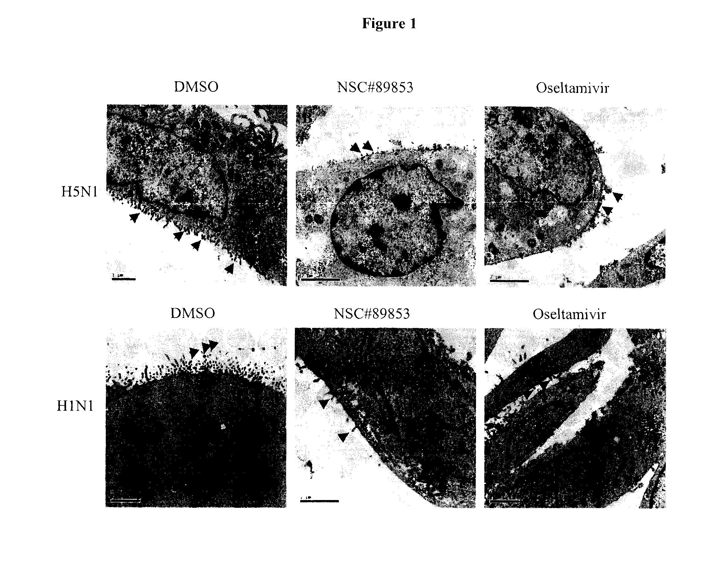 Anti-influenza compounds