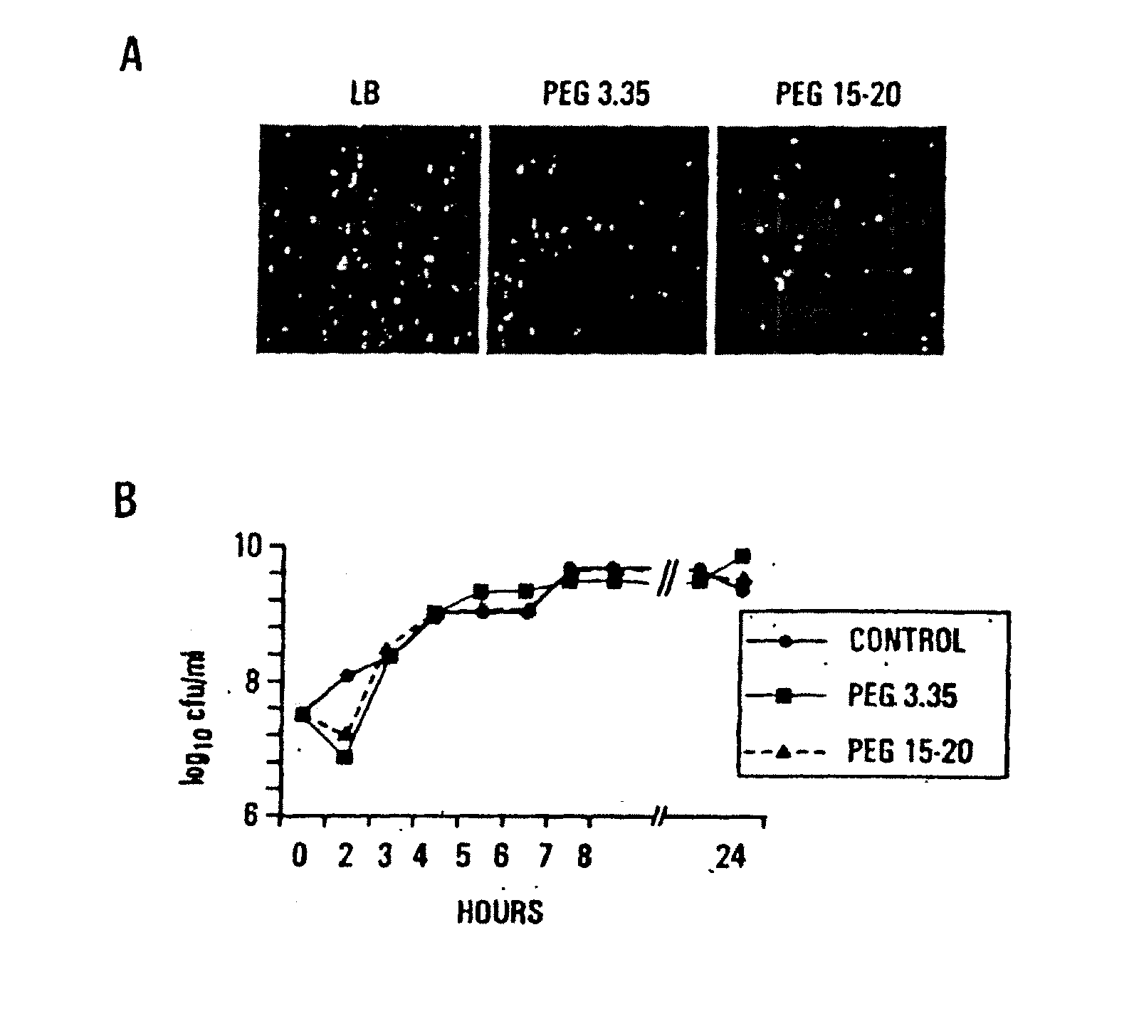 Methods for preventing and treating radiation-induced epithelial disorders