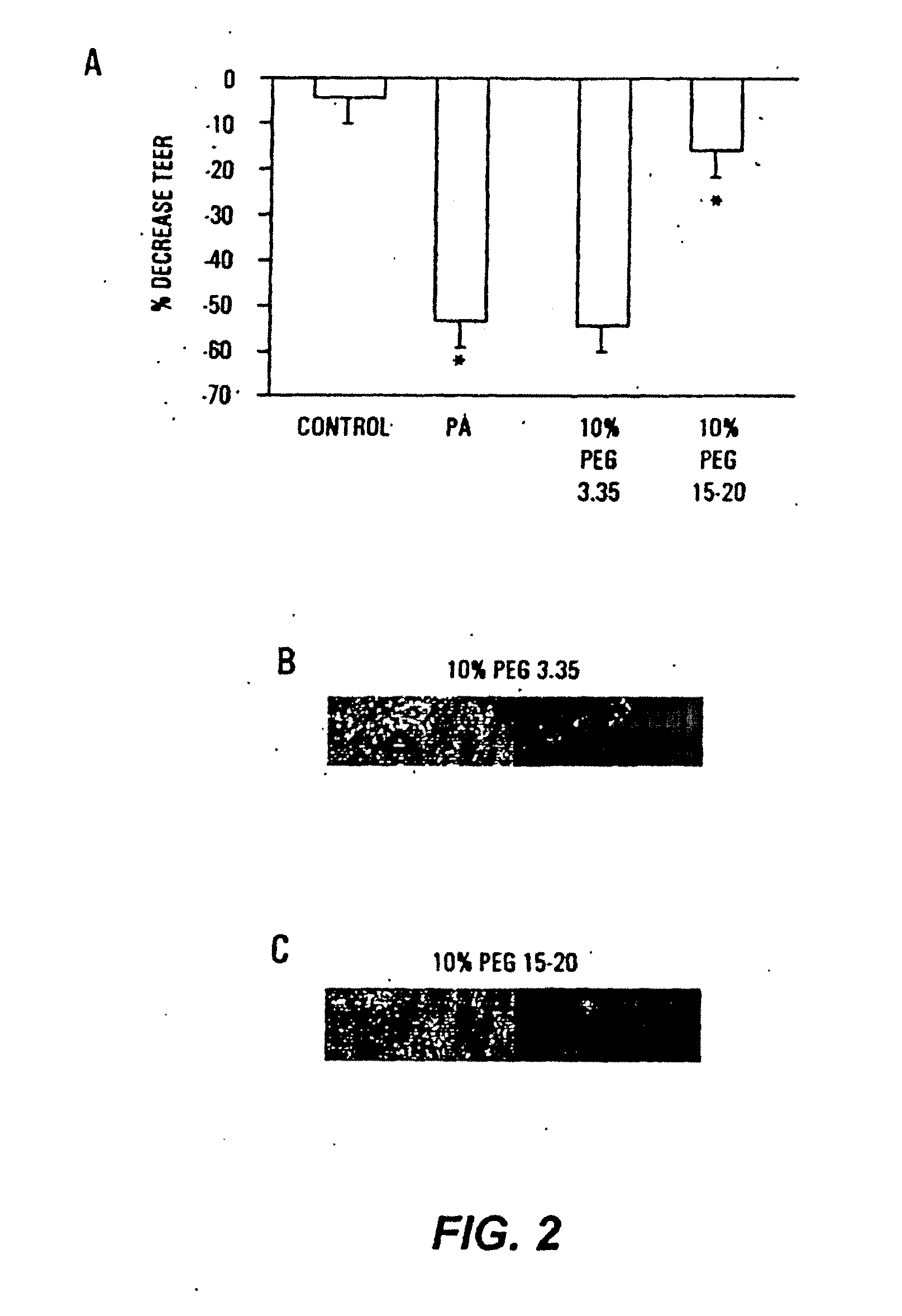 Methods for preventing and treating radiation-induced epithelial disorders