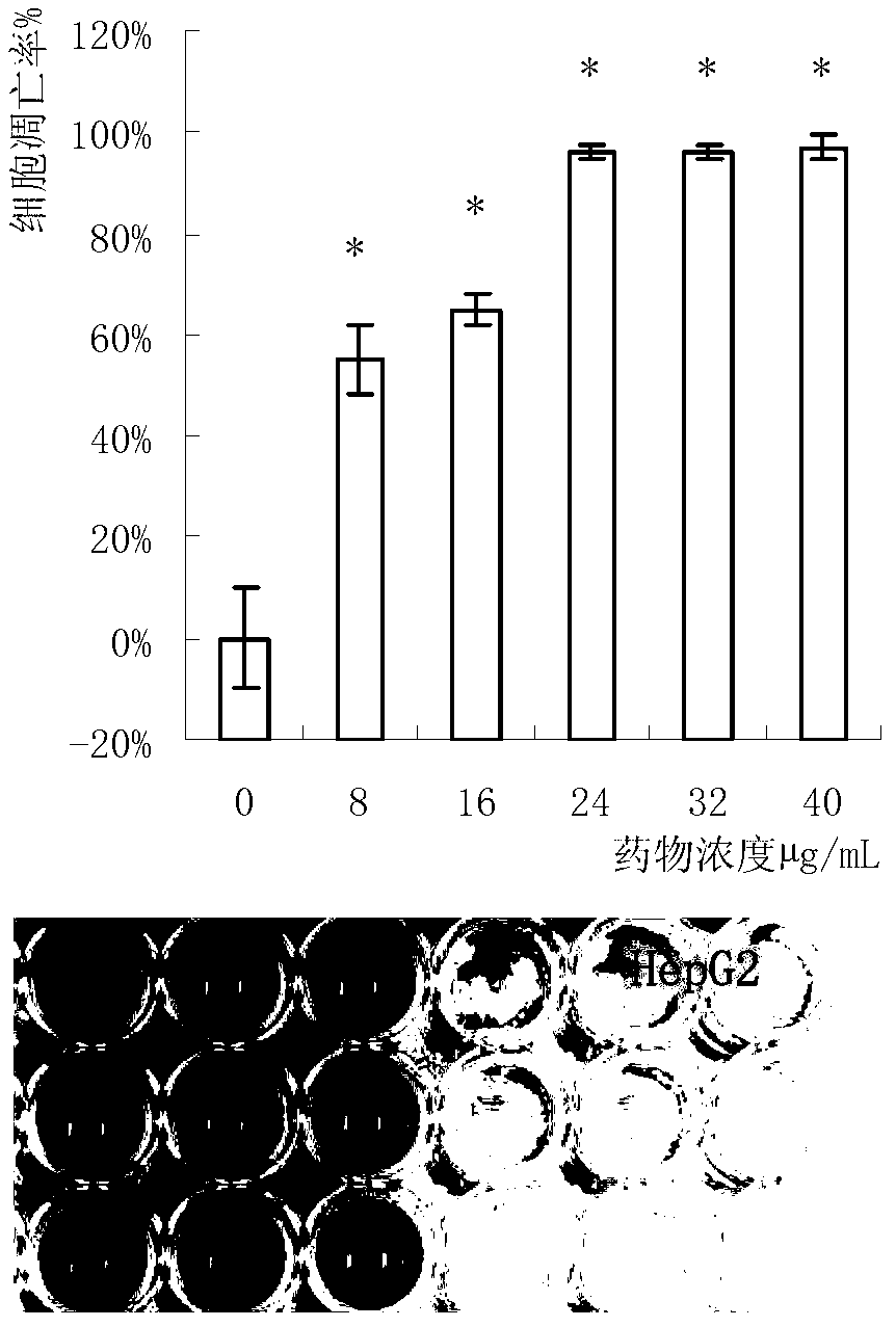 Pleurotus abalones protein extract and applications thereof for resisting tumor