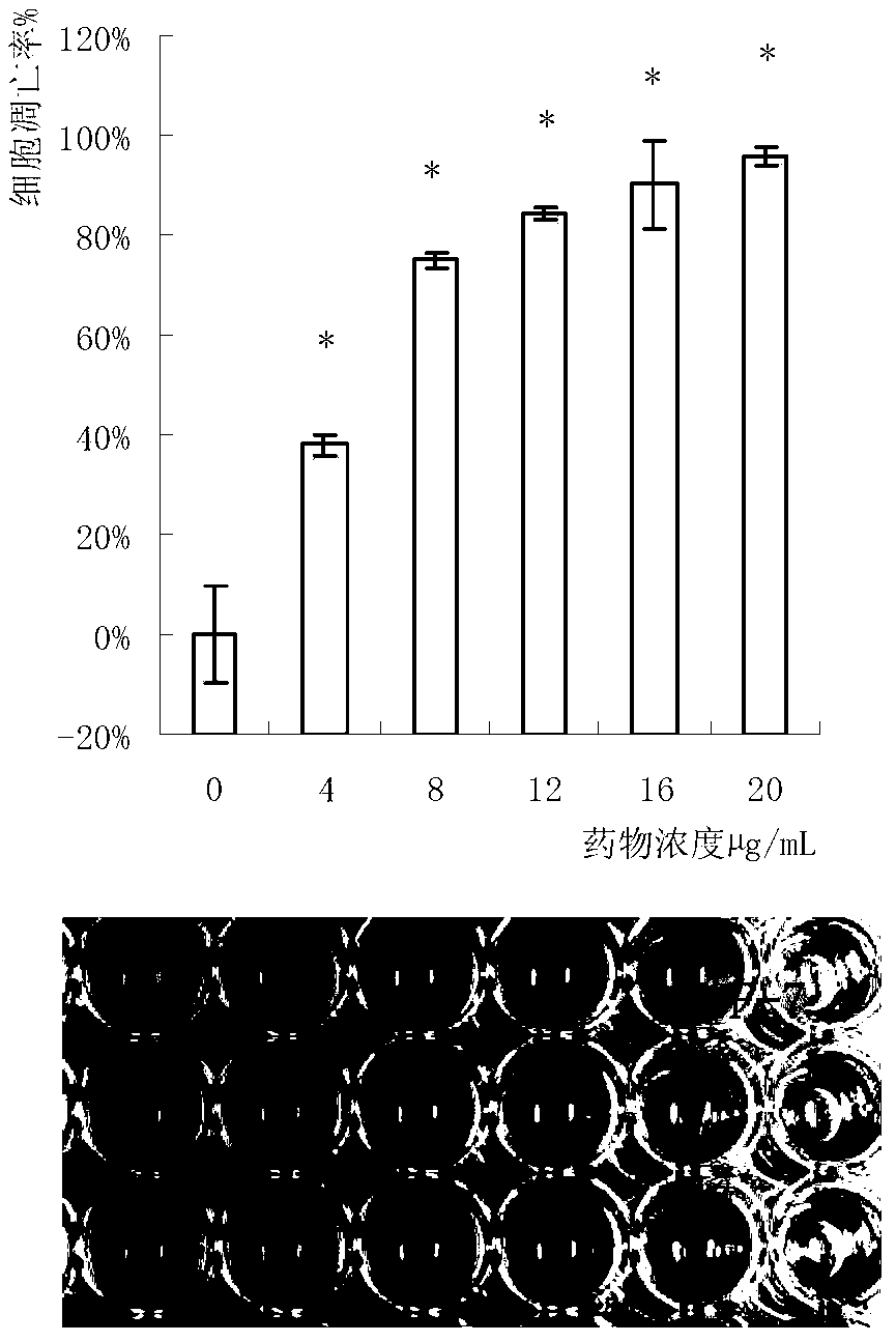 Pleurotus abalones protein extract and applications thereof for resisting tumor